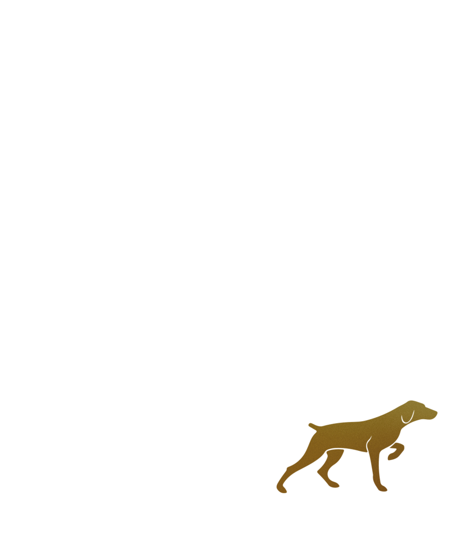 logo large